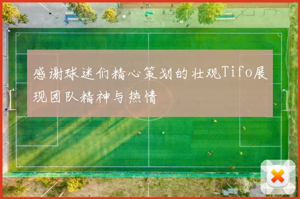 感谢球迷们精心策划的壮观Tifo展现团队精神与热情